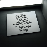 Tabuľka Pozor pes Zlatý retríver cute — výstražná tabuľka na plot 20×15 cm