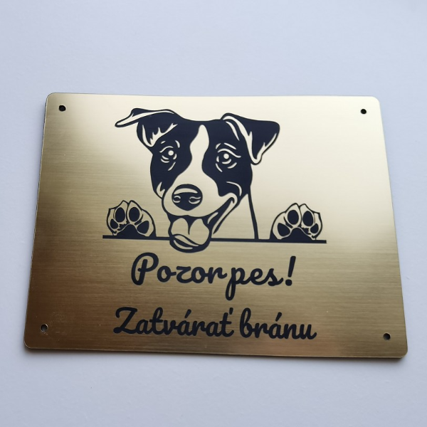 Zlatá tabuľka s vykúkajúcim Jack Russell teriérom a nápisom Pozor pes! Zatvárať bránu