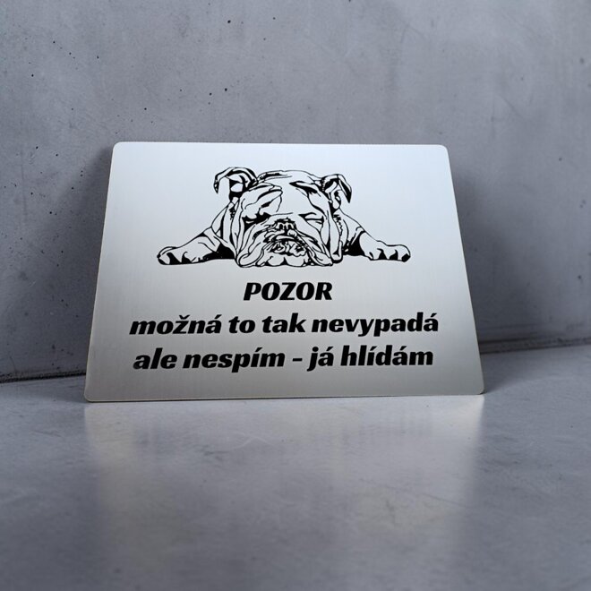 Strieborná tabuľka s ležiacim buldogom a českým nápisom Možná to tak nevypadá, ale nespím