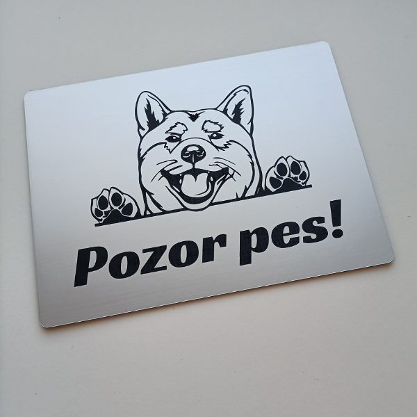 Strieborná tabuľka Pozor pes – vykúkajúca akita inu