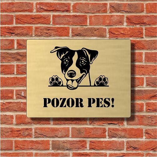 Zlatá tabuľka Pozor pes s Jack Russell teriérom na tehlovej stene