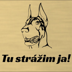 Tabuľka Pozor pes Doberman 2 — výstražná tabuľka na plot 20×15 cm