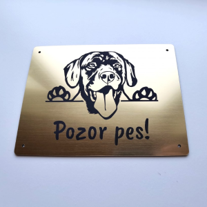 Tabuľka Pozor pes Labrador