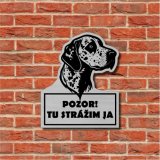 Tabuľka Pozor pes Dalmatín 2 — výstražná tabuľka na plot 18×15 cm