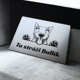 Tabuľka Pozor pes Bulteriér — výstražná tabuľka na plot 20×15 cm