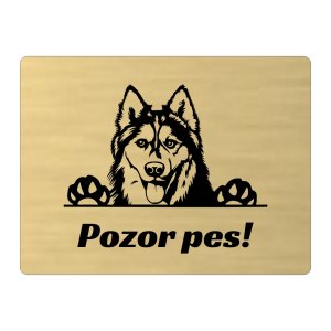 Tabuľka Pozor pes Husky — výstražná tabuľka na plot 20×15 cm