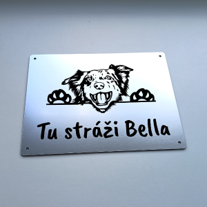 Tabuľka Pozor pes Border kólia cute — výstražná tabuľka na plot 20×15 cm